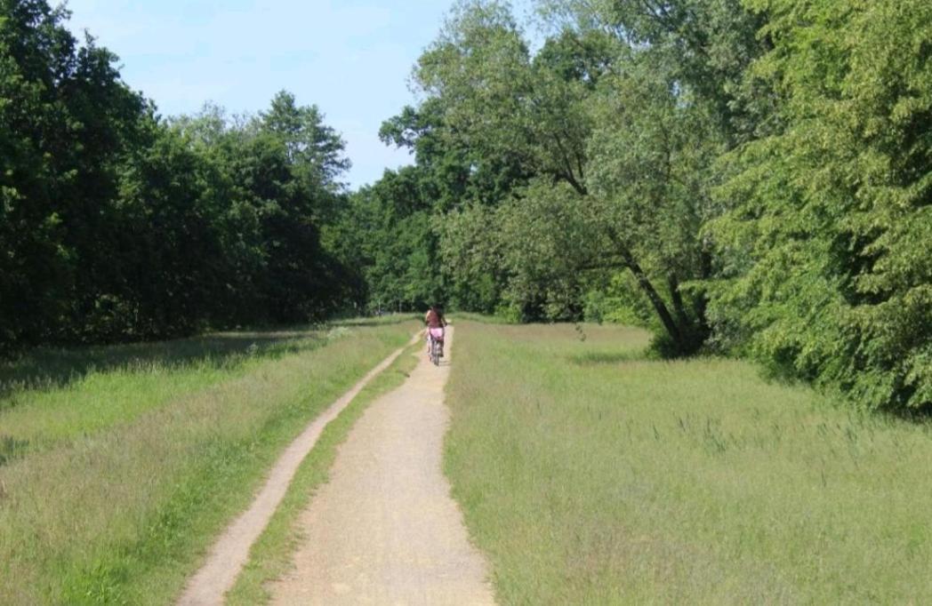 Spreewald Ferienwohnung Noack 吕本 外观 照片