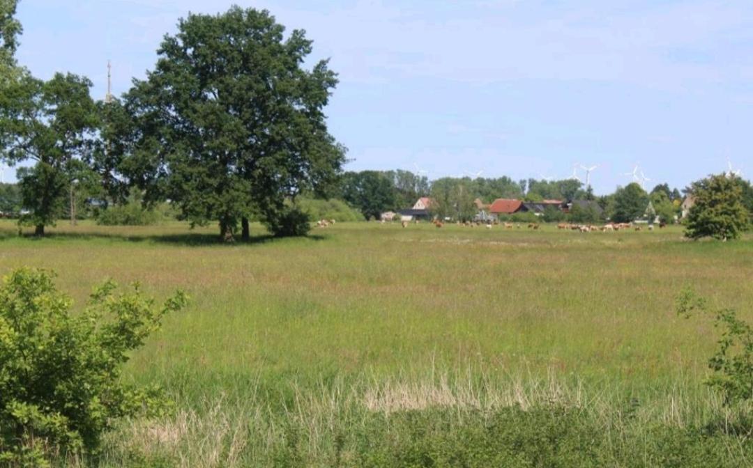Spreewald Ferienwohnung Noack 吕本 外观 照片